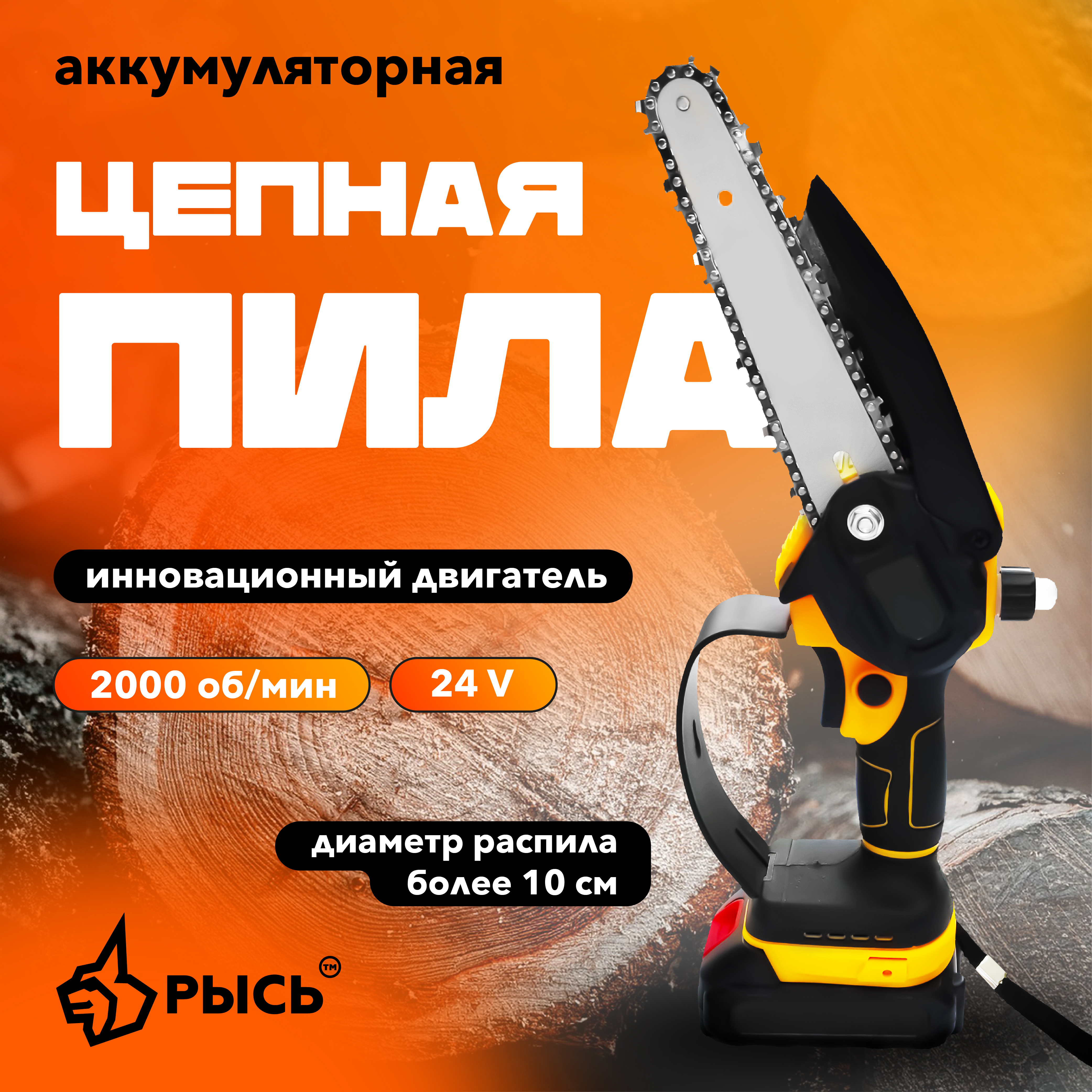Пила цепная аккумуляторная РЫСЬ Инструменты для дома PS-240